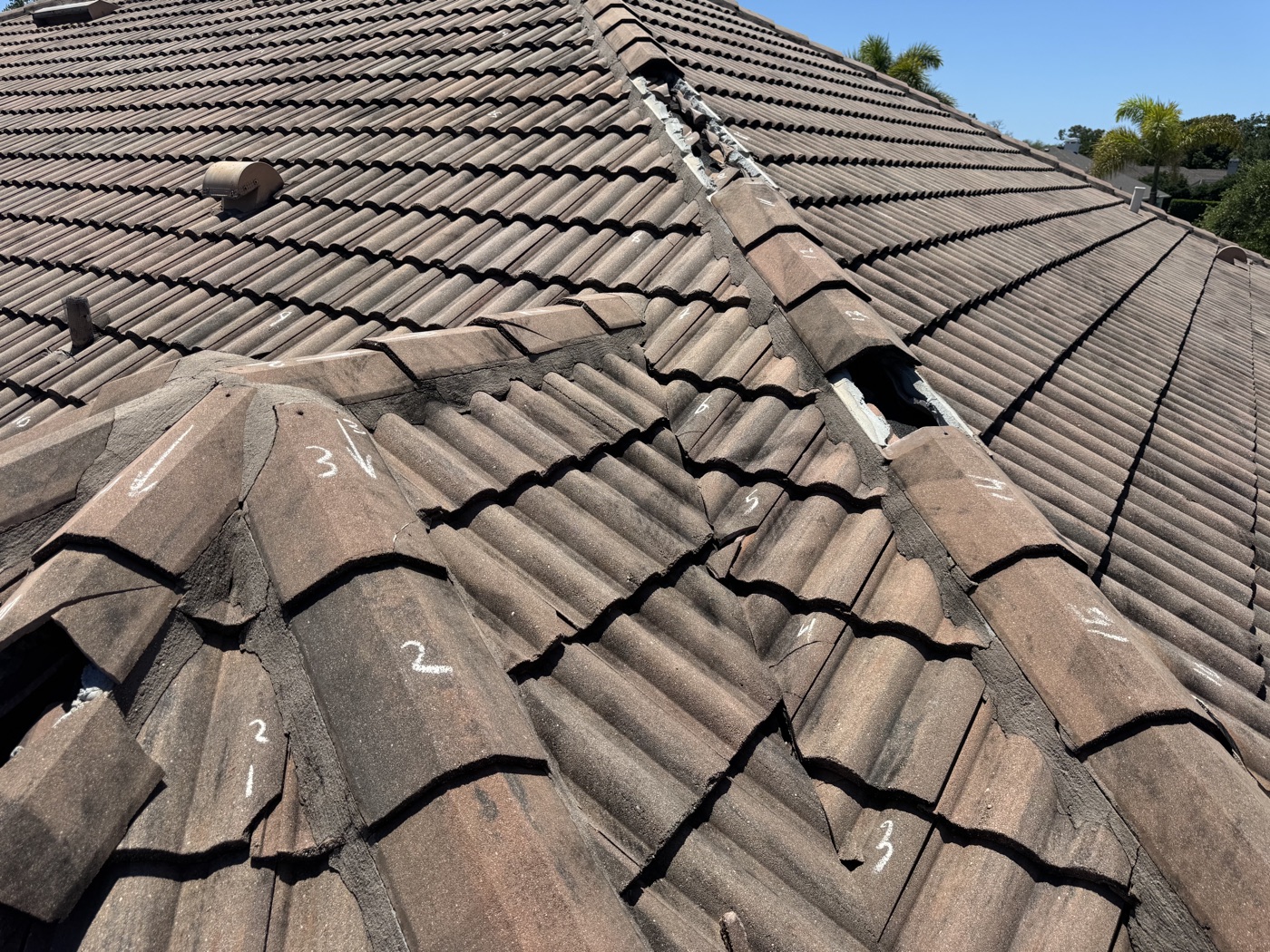 Emergency tarp providing temporary roof protection after a storm in Southwest Florida